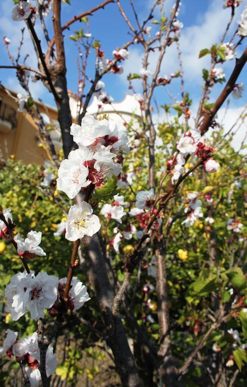 B&B Villa Olimpo Le Torri Agrigento Luaran gambar
